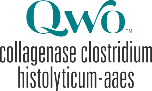 Qwo logo